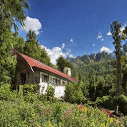 visual concept vocabulary